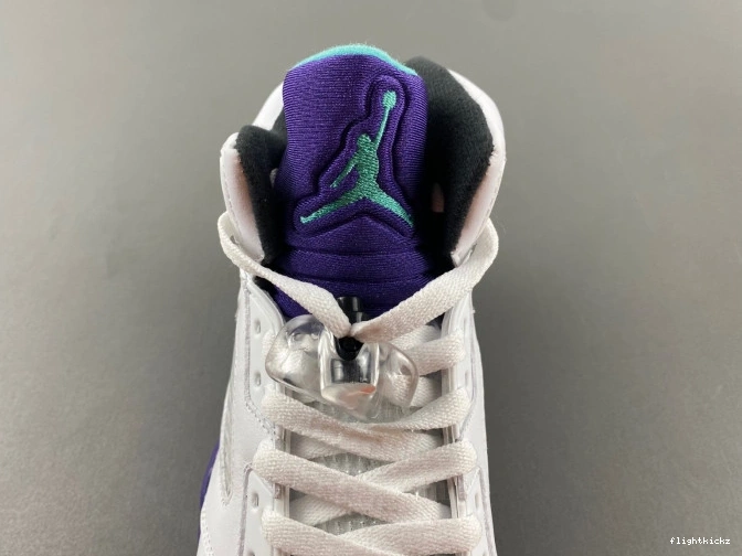 Grape (2013) 136027-108 Retro 5 Jordan Air 1025